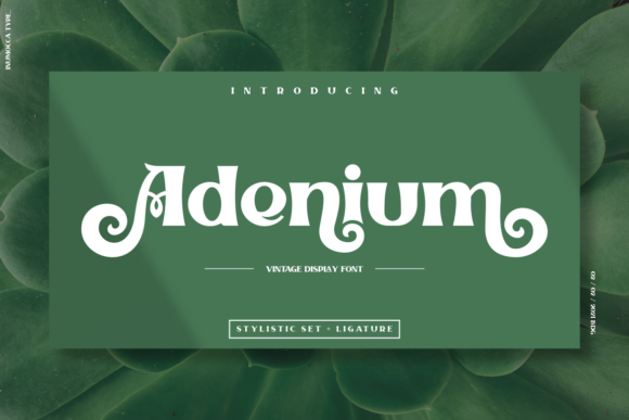Adenium: A Display Font for Bold Editorial Statements
